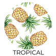 Charger l'image dans la galerie, Couche tout-en-un - 2.0  Tropical - Mme & Co